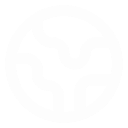 University for the Creative Arts