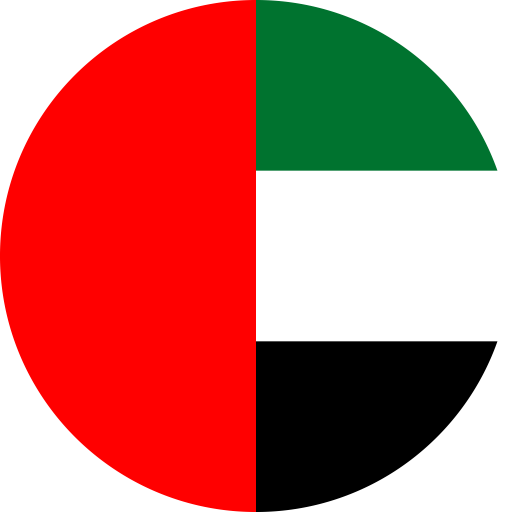 Dubai (UAE) Flag