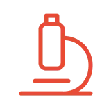 Bachelor of Science Degrees (3 Years)