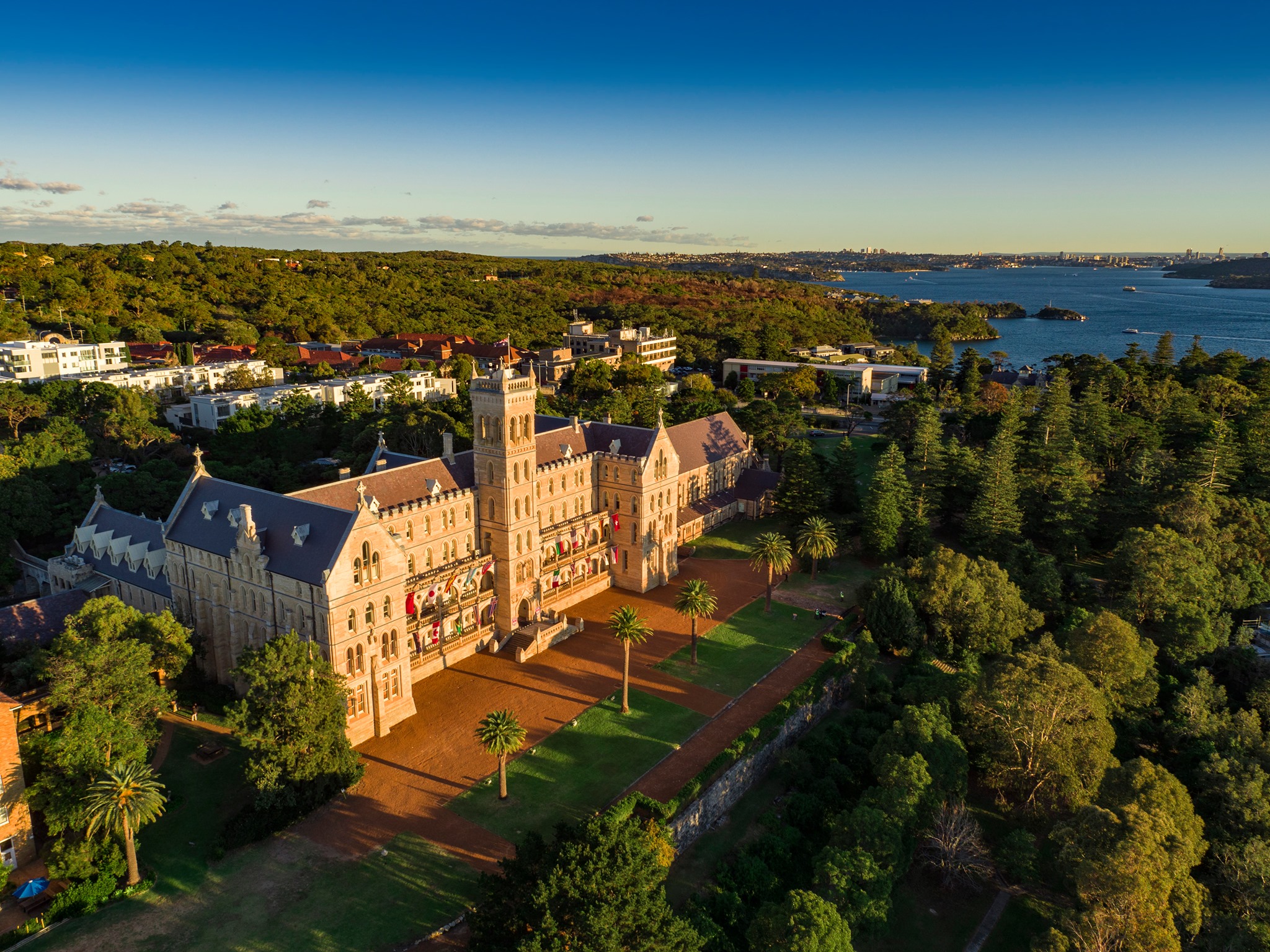 International College of Management