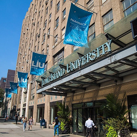 LIU Brooklyn