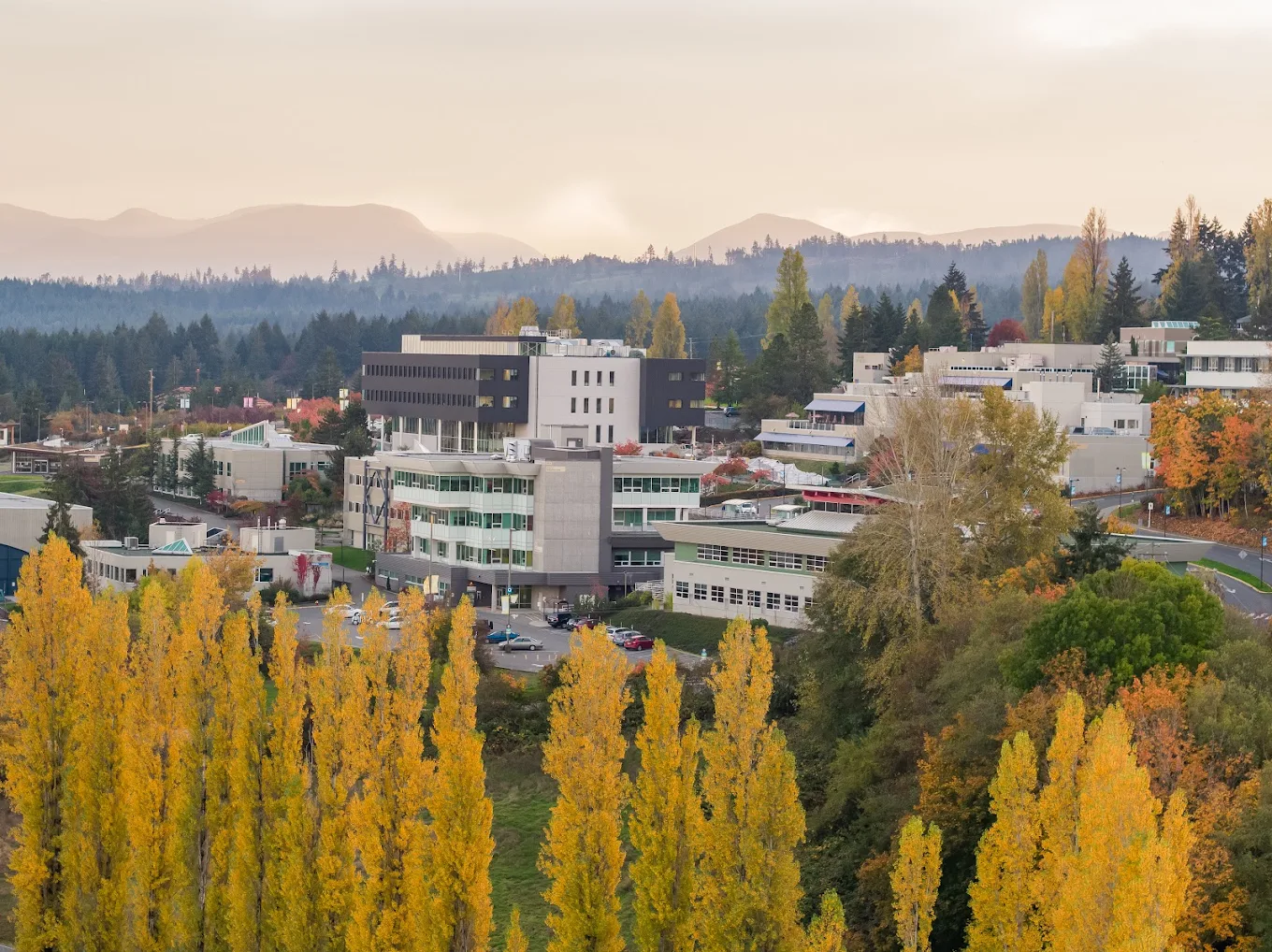 Vancouver Island University (VIU)